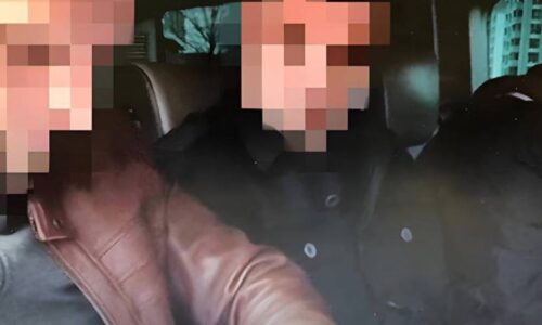 Фото до матеріалу: На Черкащині висадили понад 8 гектарів нових лісів