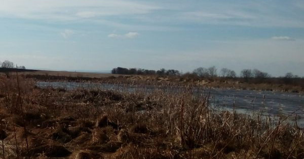 Фото до матеріалу: Суд повернув селищній раді на Львівщині ділянку з озером після поразки орендаря