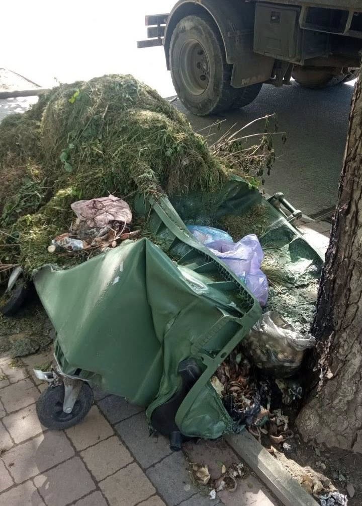 Фото до матеріалу: Сім контейнерів для сміття згоріли вщент у Стрию за кілька днів