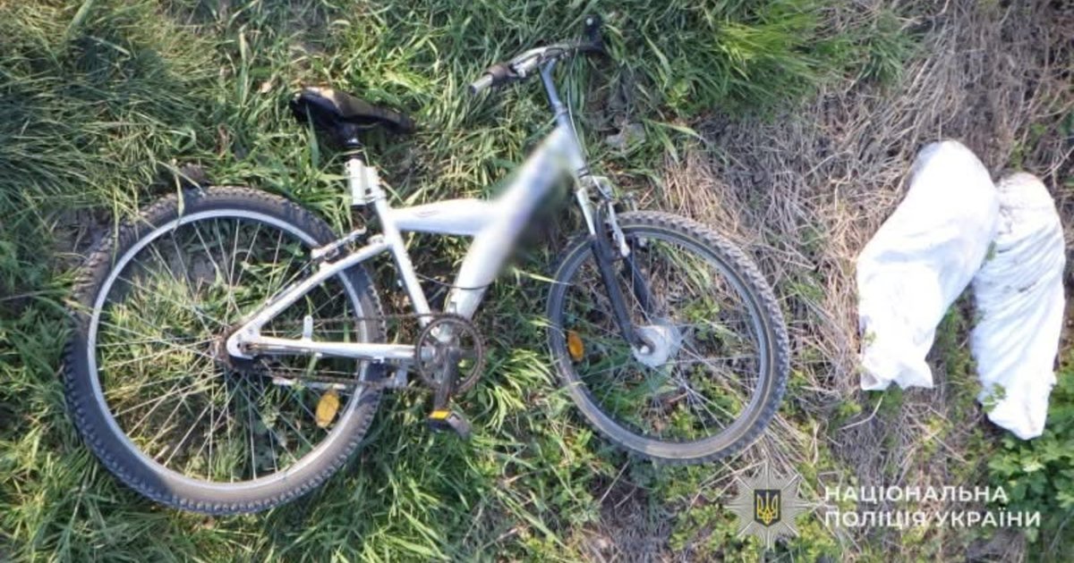 Фото до матеріалу: У Городку 17-річний підліток силоміць відібрав велосипед у 11-річної дівчинки