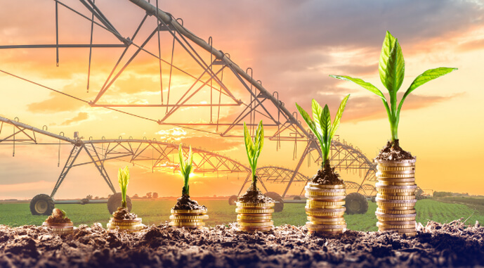 Фото до матеріалу: В A'SPIK Group сіють кукурудзу і сою — AgroPortal.ua