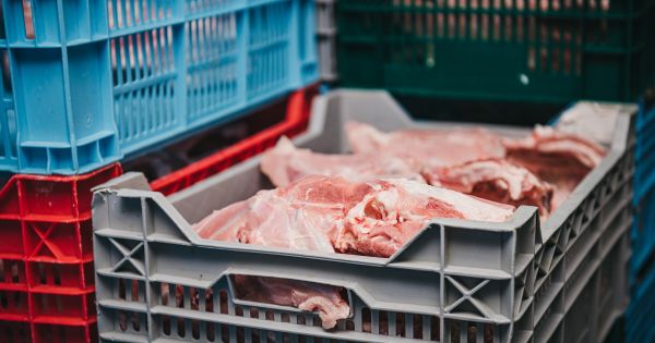 Фото до матеріалу: Українське м'ясо знову йде в світ: Грузія відкрила нові ринки для експорту