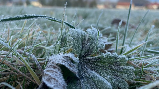 Фото до матеріалу: Травневі морози до -5°C: синоптики попередили про небезпечне похолодання в Україні