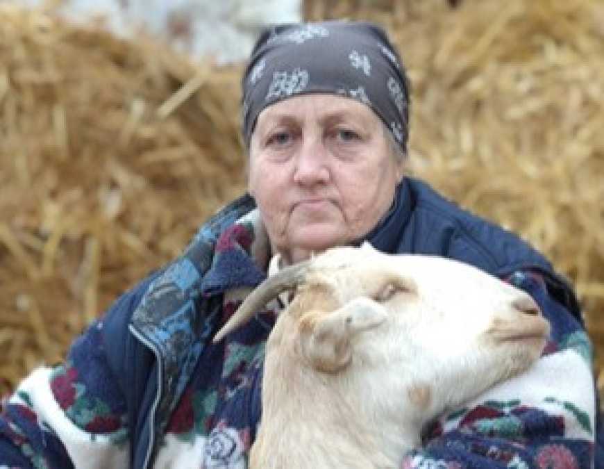 Фото до матеріалу: Лариса Гурова відроджує українську коротковуху: мама селекційного козівництва