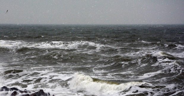 Фото до матеріалу: Війна руйнує Чорне і Азовське моря: екологи б'ють на сполох