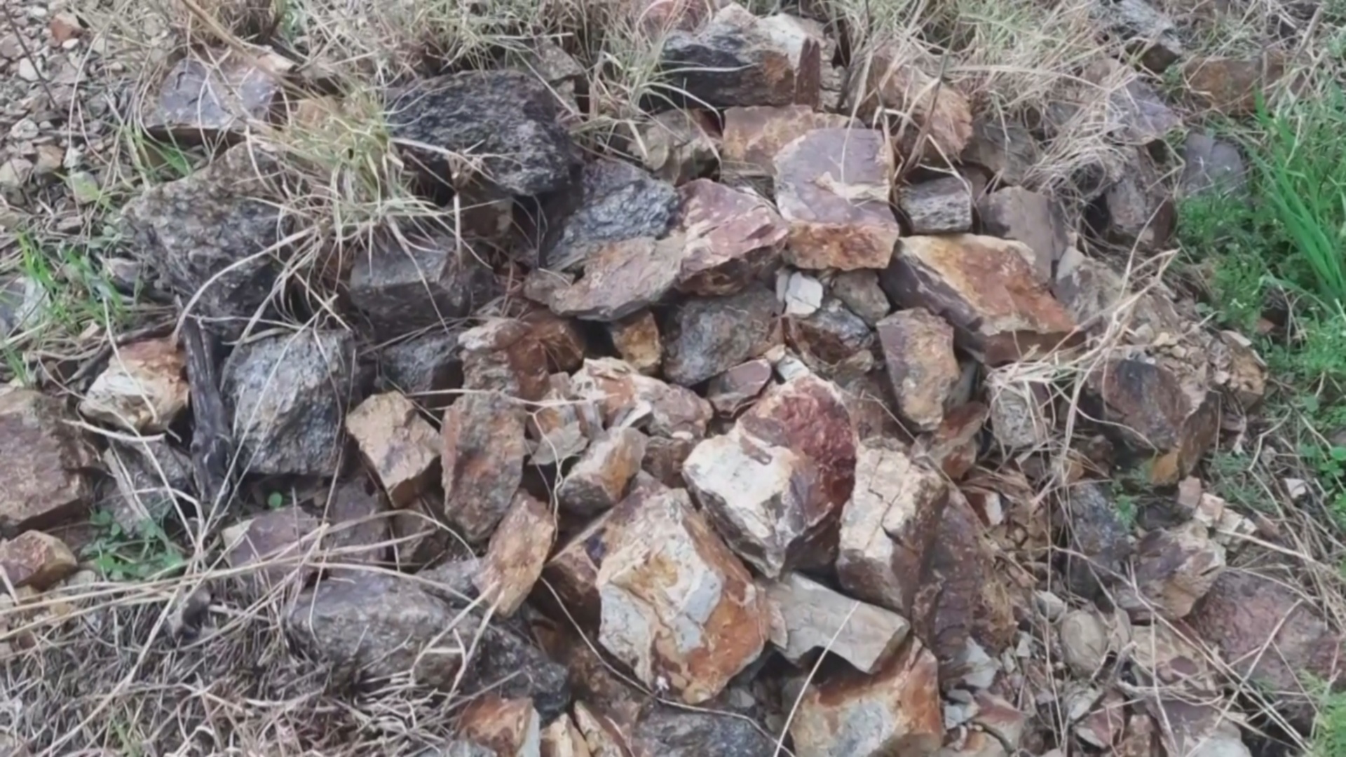 Фото до матеріалу: Індія та РФ домовляються про розробку родовища літію та рідкоземельних елементів – ЗМІ