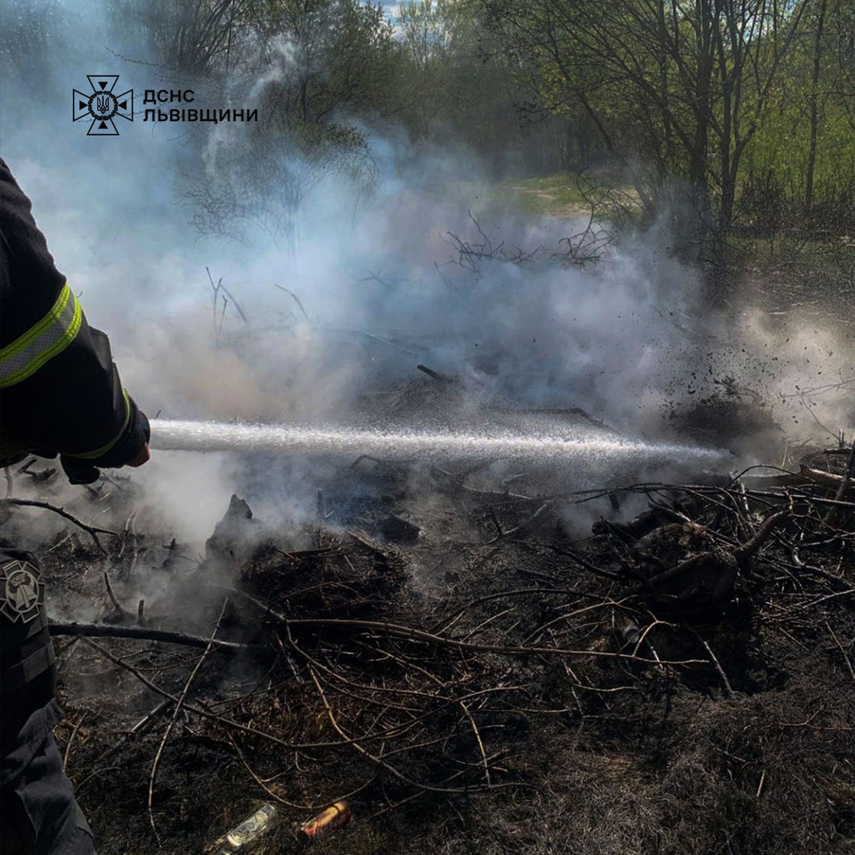 Фото до матеріалу: На Львівщині вирували потужні пожежі: з'явилися фото