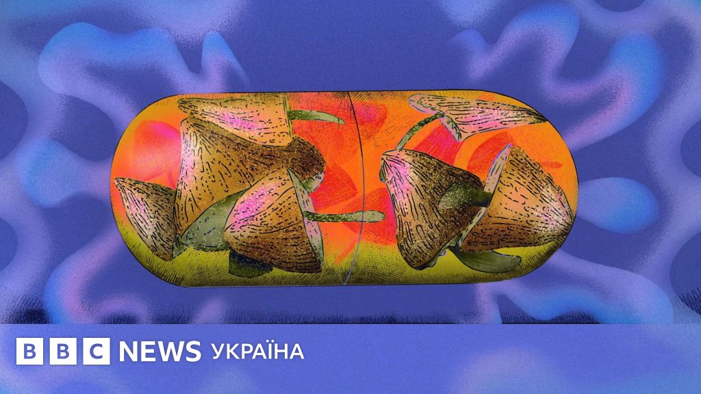 Фото до матеріалу: Чарівні гриби як засіб від куріння: нові наукові дані