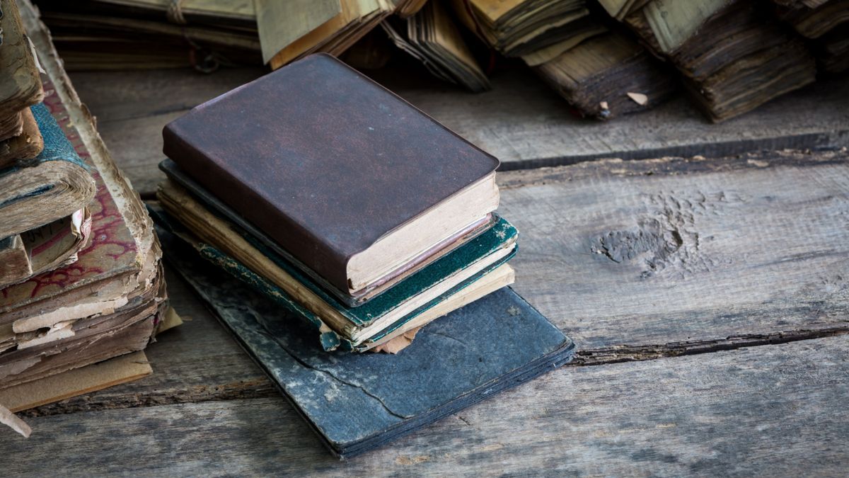 Фото до матеріалу: Київ отримав мобільну лабораторію для порятунку книг: як працює нове обладнання