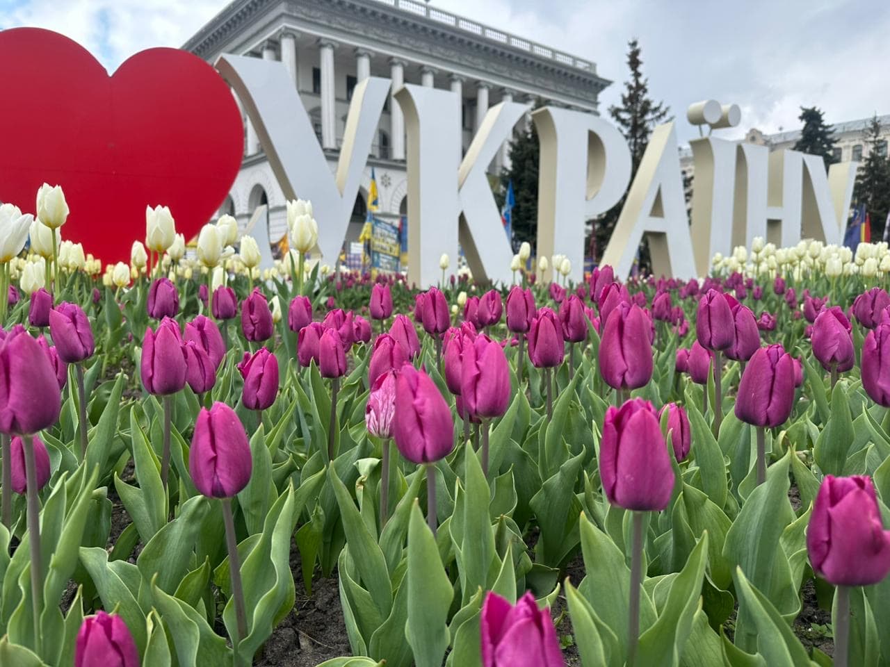 Фото до матеріалу: Обшуки в "Київтеплоенерго" через загибель дівчини в ямі з окропом