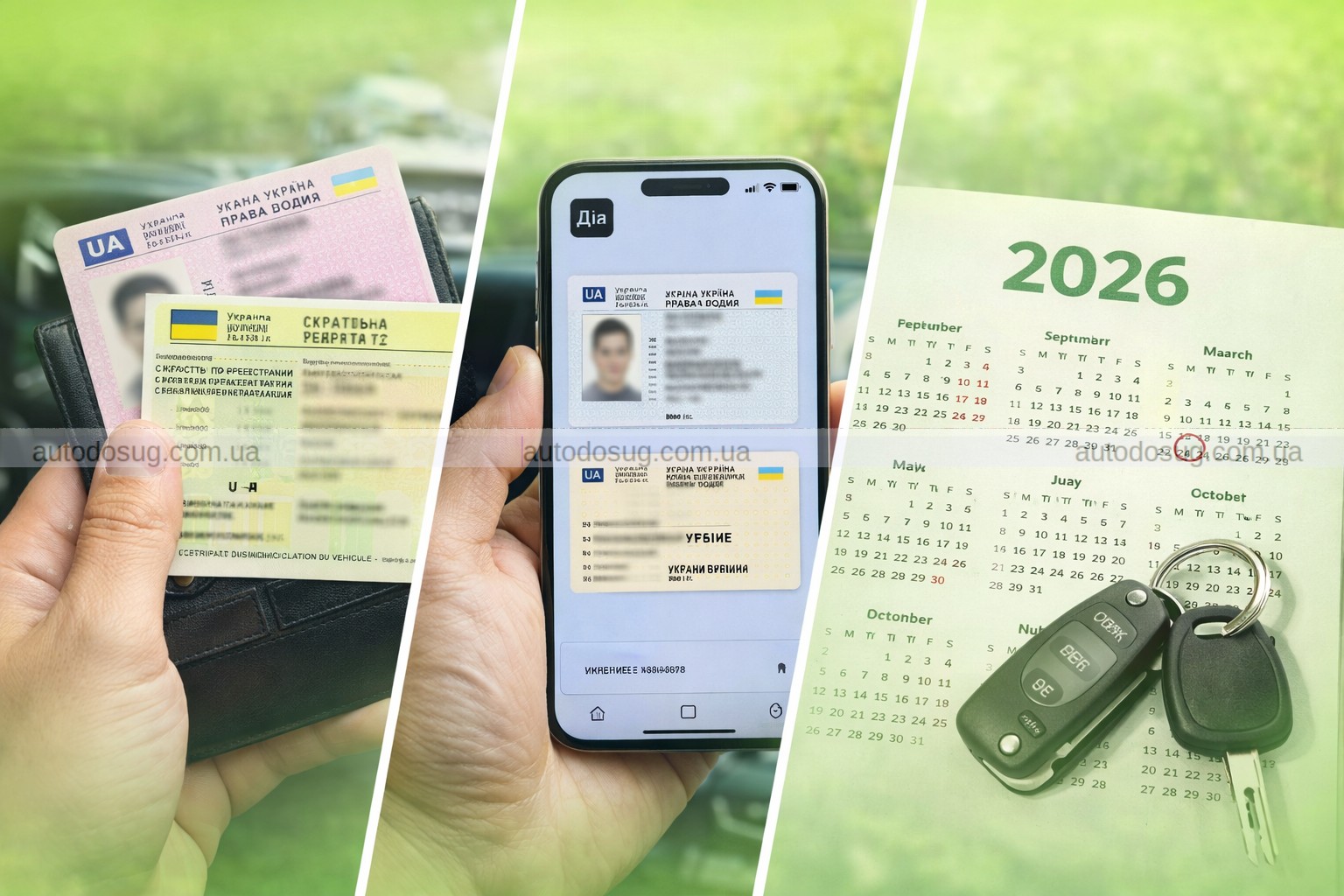 Фото до матеріалу: Які документи потрібні водіям у 2026 році в Україні