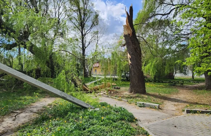 Фото до матеріалу: Сильний вітер у Івано-Франківську повалив 34 дерева та пошкодив дахи: що роблять рятувальники