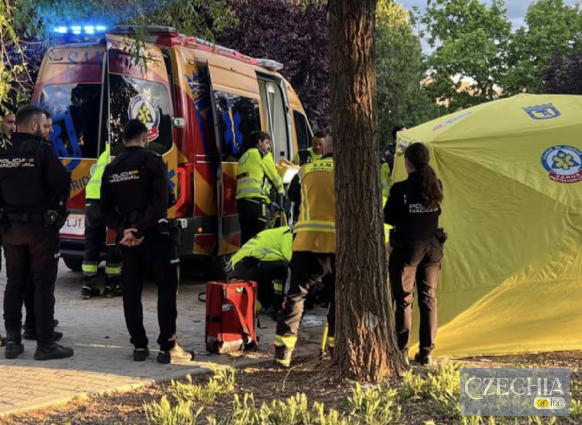 Фото до матеріалу: У мадридському парку Параїсо ножем вбили 20-річного юнака
