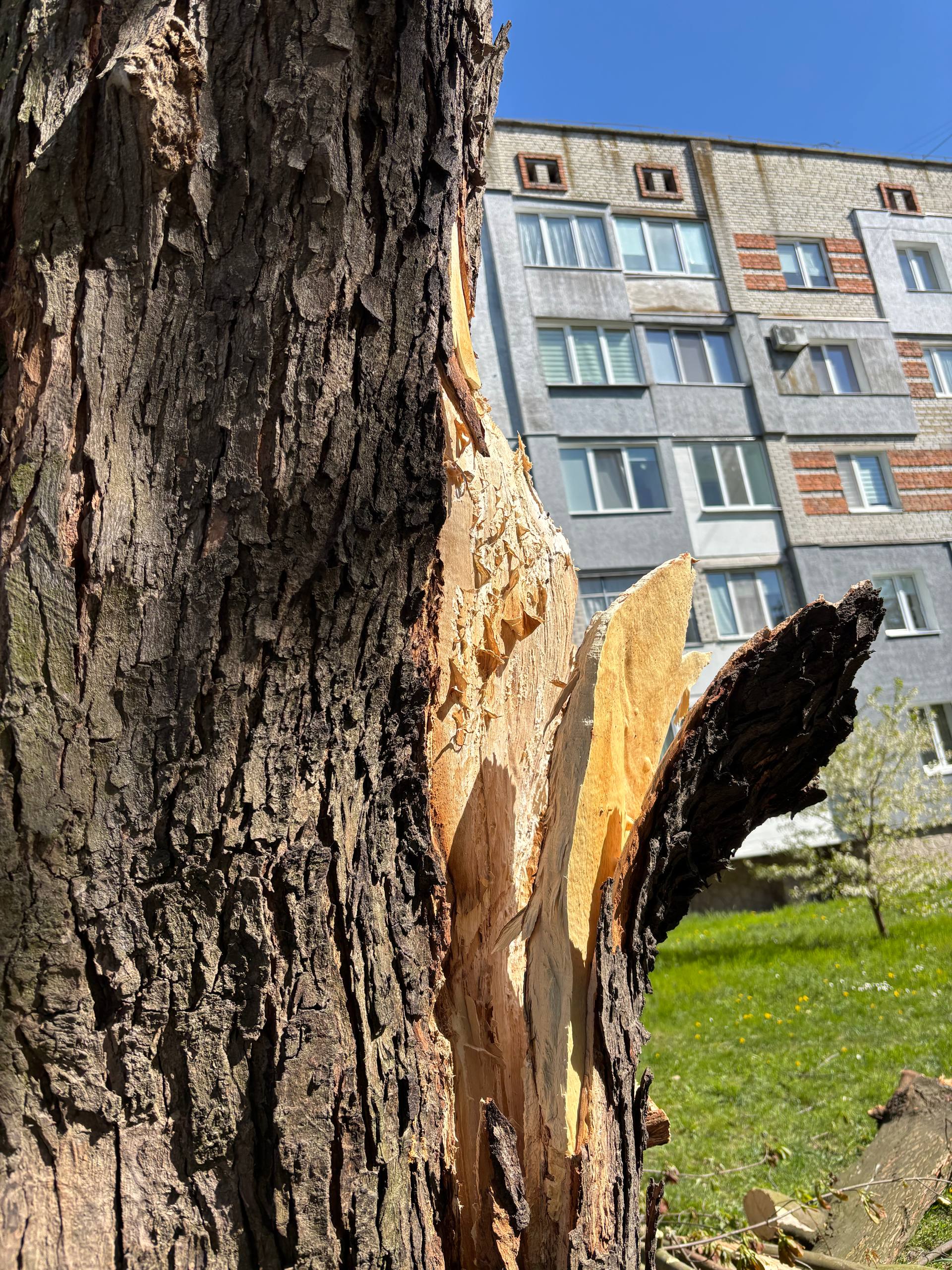 Фото до матеріалу: У Шептицькій громаді ліквідують наслідки буревію: пошкоджено дахи та дерева