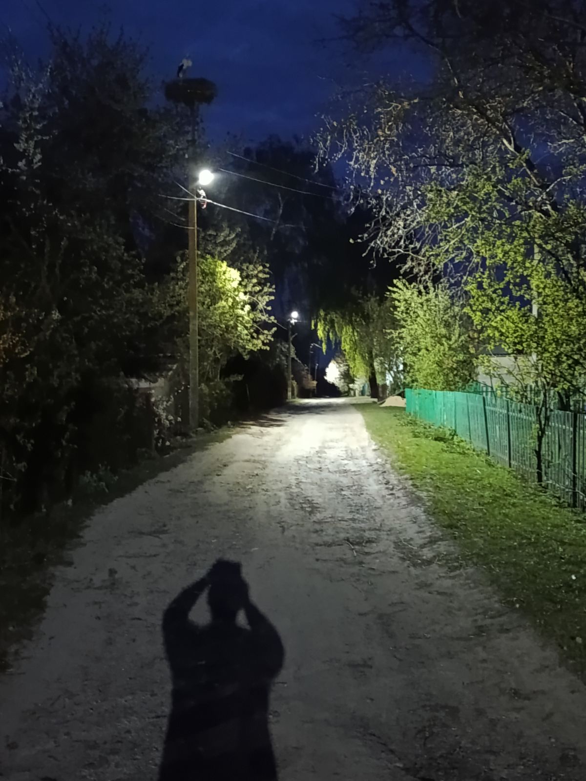 Фото до матеріалу: У селі Привітне Локачинщини модернізували вуличне освітлення: встановили 9 LED-ліхтарів