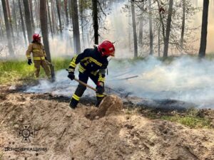 Фото до матеріалу: Строк оформлення невитребуваних земельних паїв продовжено до 2028 року
