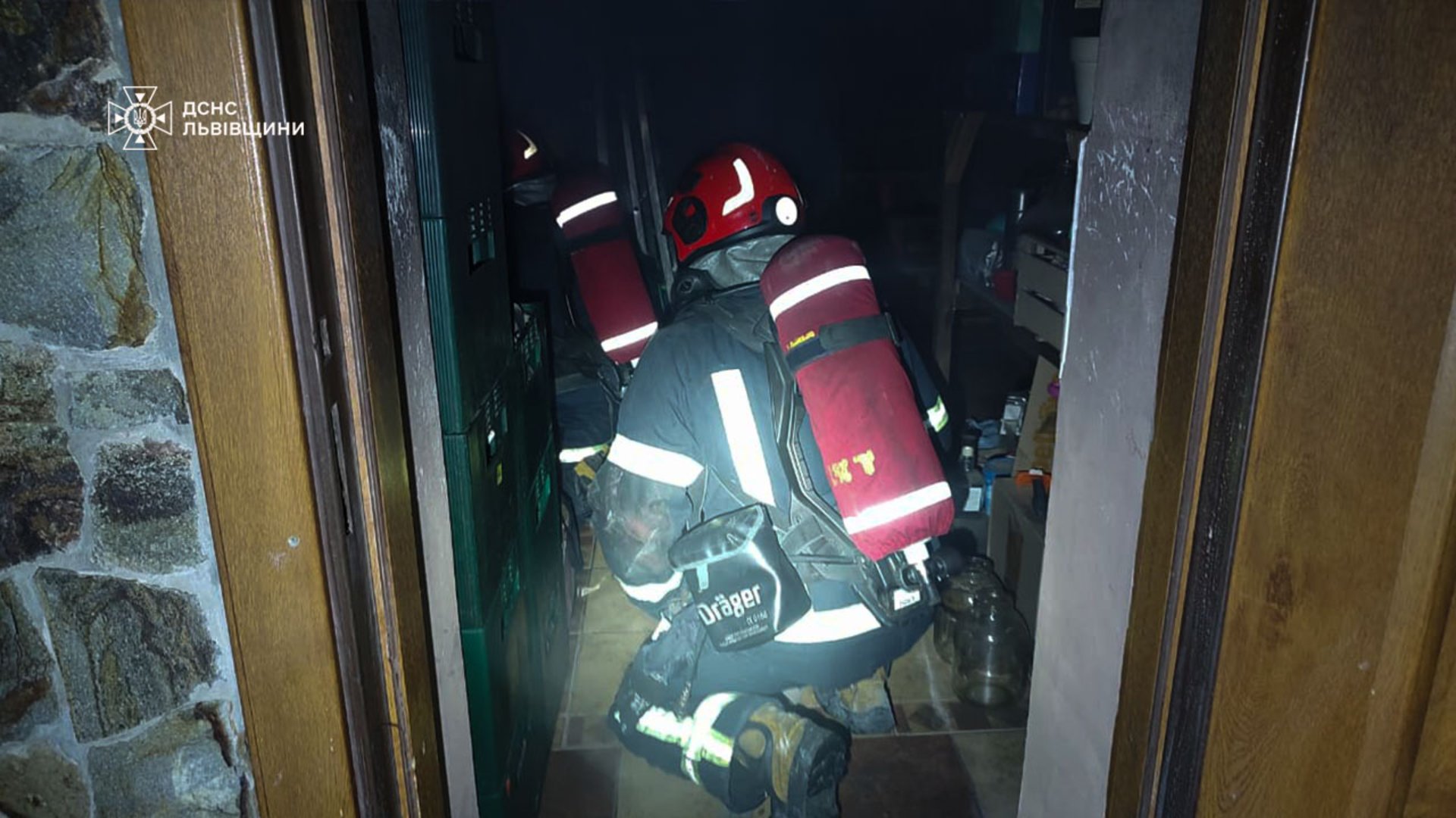 Фото до матеріалу: Пожежа у підвалі на Міжгірній у Львові: рятувальники врятували кота