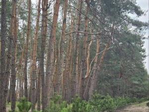 Фото до матеріалу: Відкрито ХХІХ фестиваль «Травневі музичні зустрічі»: європейська класика та українська душа