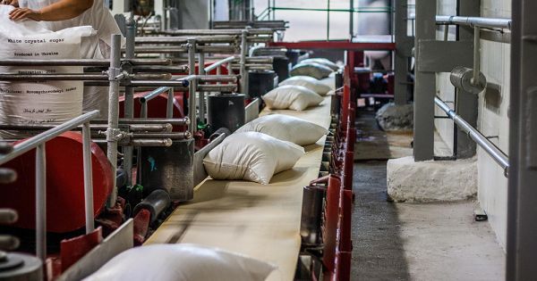 Фото до матеріалу: У квітні Узбекистан може стати головним покупцем українського цукру