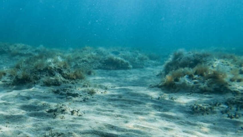 Фото до матеріалу: Вчені знайшли місце на дні Карибського моря, де вода не кипить при 401 градусі