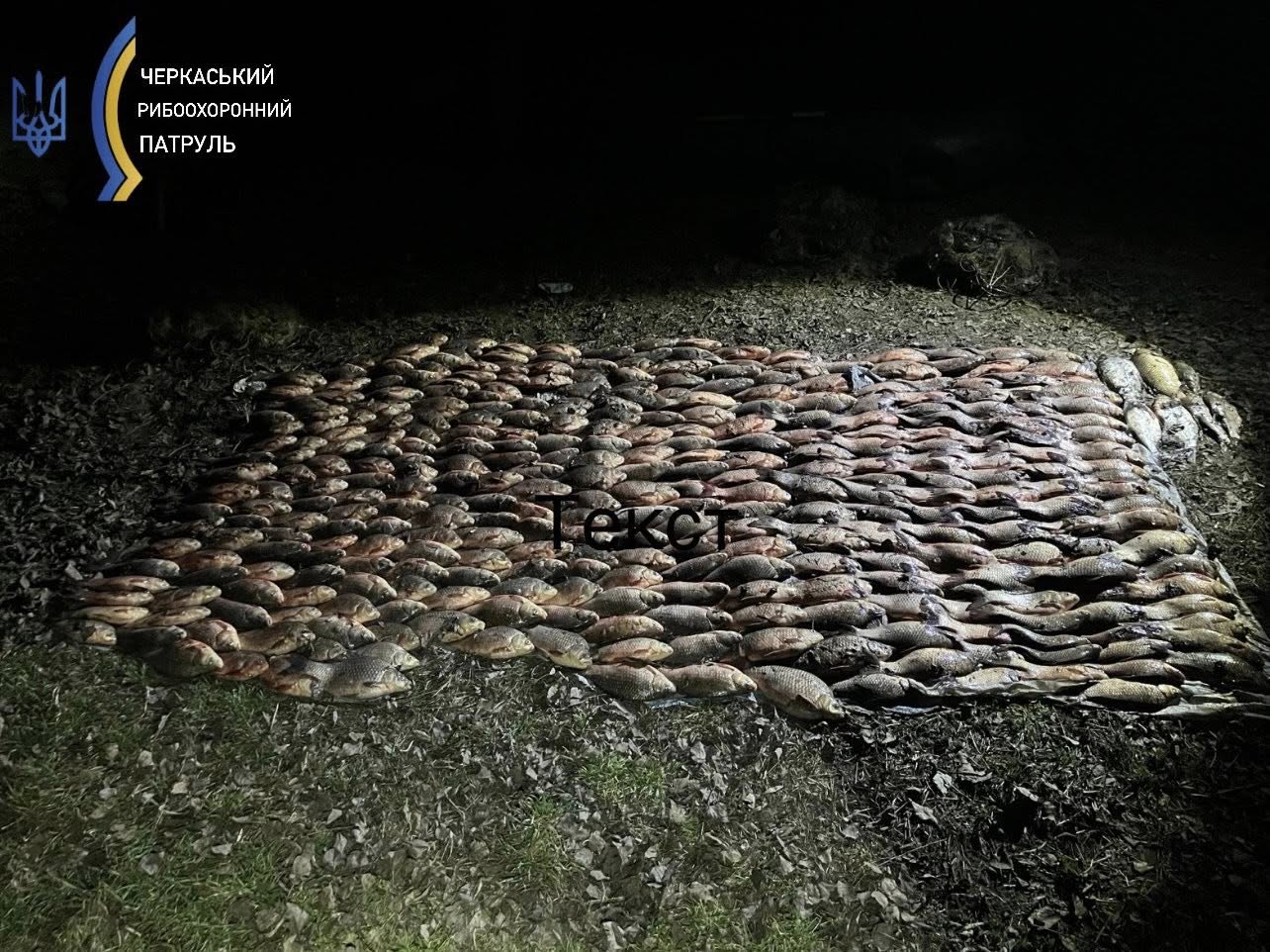 Фото до матеріалу: Черкащанка наловила риби на понад 365 тисяч гривень. Її зобов’язали виплатити суму та забрали човна