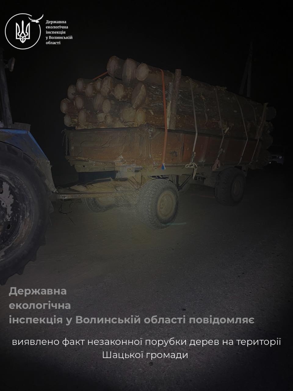 Фото до матеріалу: У Шацькій громаді зупинили незаконну рубку соснових лісів