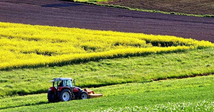 Фото до матеріалу: Вебінар про оренду сільгоспземель: що важливо знати перед підписанням договору