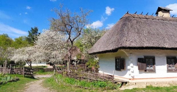 Фото до матеріалу: Травень у Пирогові: квітучий музей та оновлені експозиції для киян