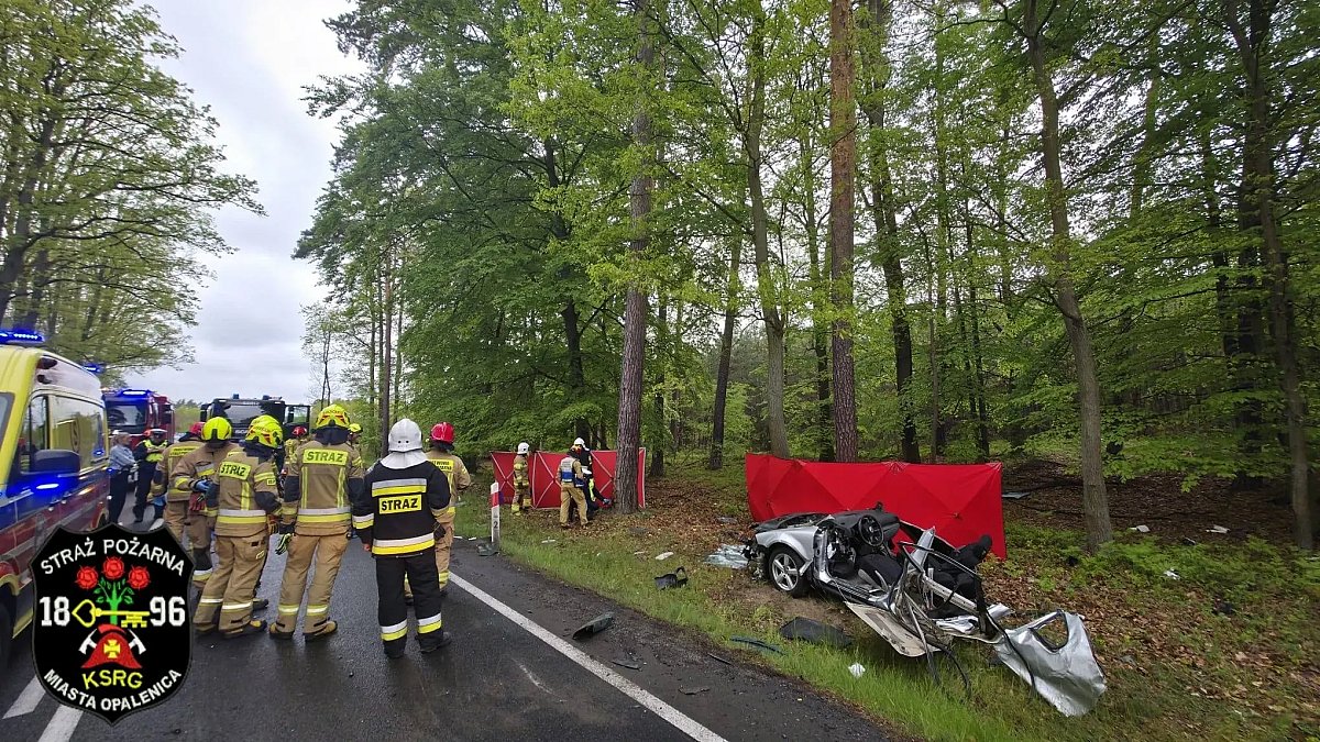 Фото до матеріалу: Двоє українців загинули в ДТП з вантажівкою в Польщі