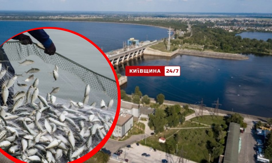 Фото до матеріалу: Громада Пущі-Водиці зупинила незаконні розкопки біля «зеленої арки»