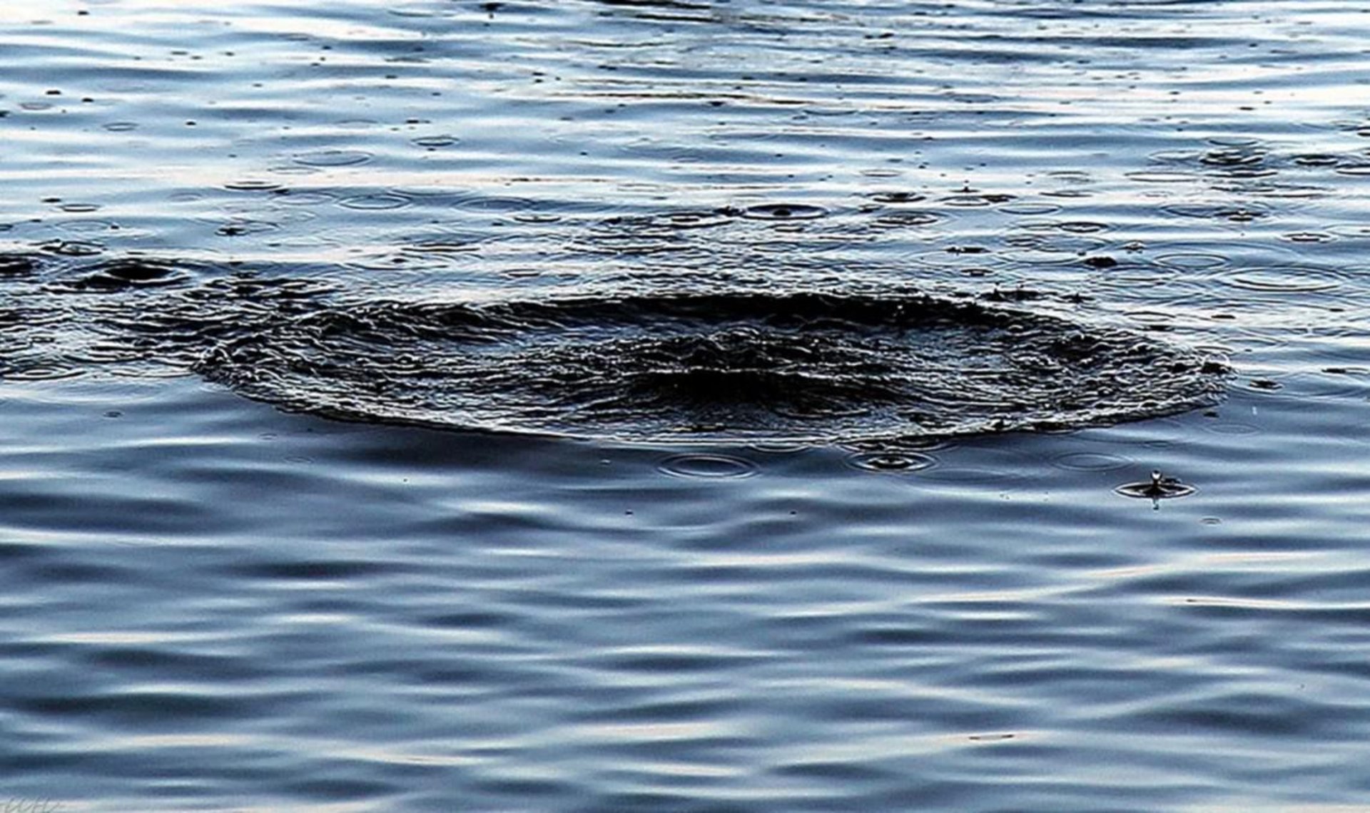 Фото до матеріалу: У Золочівському районі на воді виявили тіло чоловіка