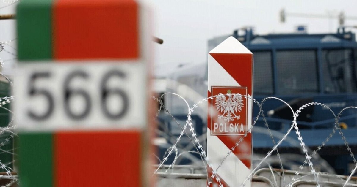 Фото до матеріалу: Польща зміцнює кордон: будується новий бар'єр на межі з Білоруссю