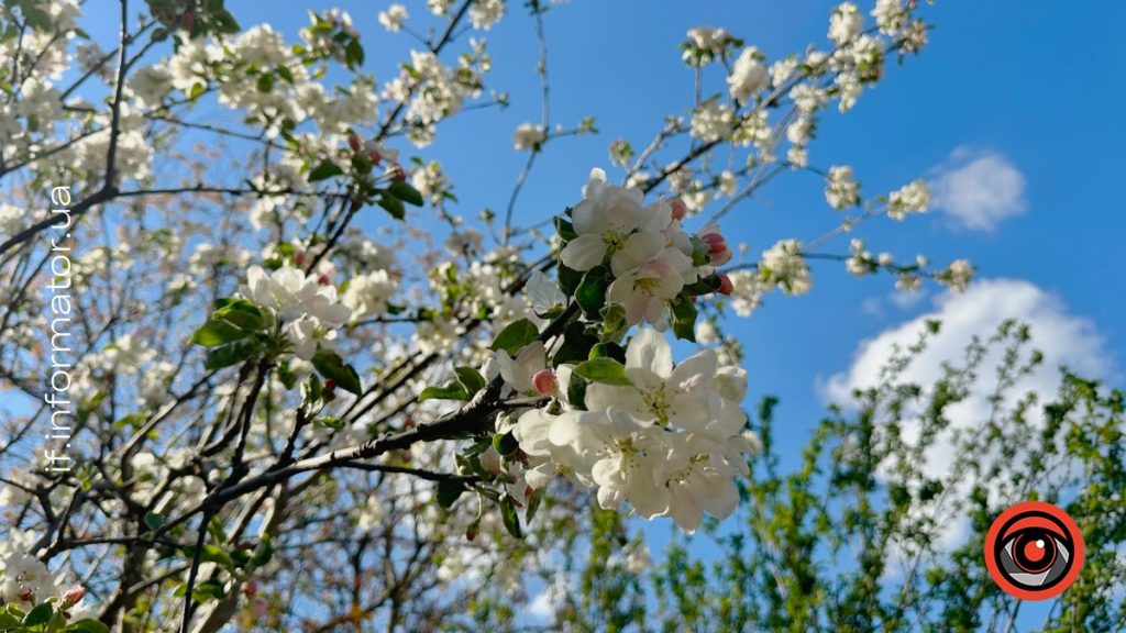 Фото до матеріалу: Погода на Івано-Франківщині 5 травня: очікується мінливість та короткочасні опади
