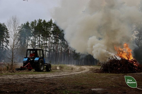Фото до матеріалу: Через пожежну небезпеку, в’їзди до лісів закрили шлагбаумами