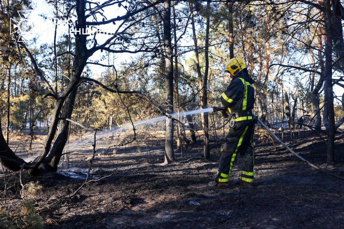 Фото до матеріалу: Поблизу Карпилівки вогнем знищено господарську будівлю. Пожежу вдалося ліквідувати