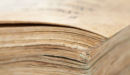 Фото до матеріалу: Українська книжкова поличка з’явилася в інституті Бразилії