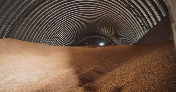 Фото до матеріалу: Мінекономіки: до кінця сезону перехідні залишки зерна скоротяться до 11,3 млн тонн