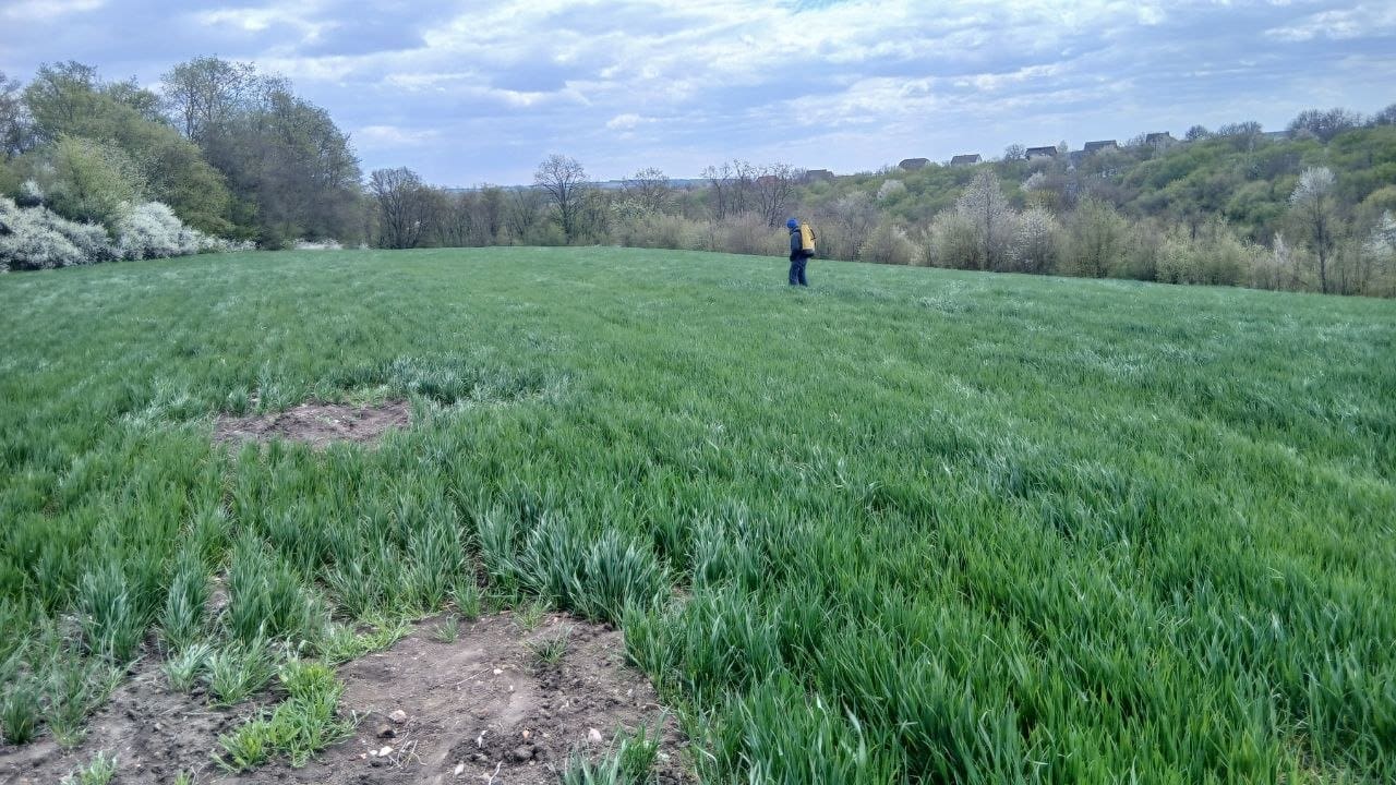 Фото до матеріалу: На Борщівщині знайшли нові пам'ятки, але трипільські поселення руйнуються