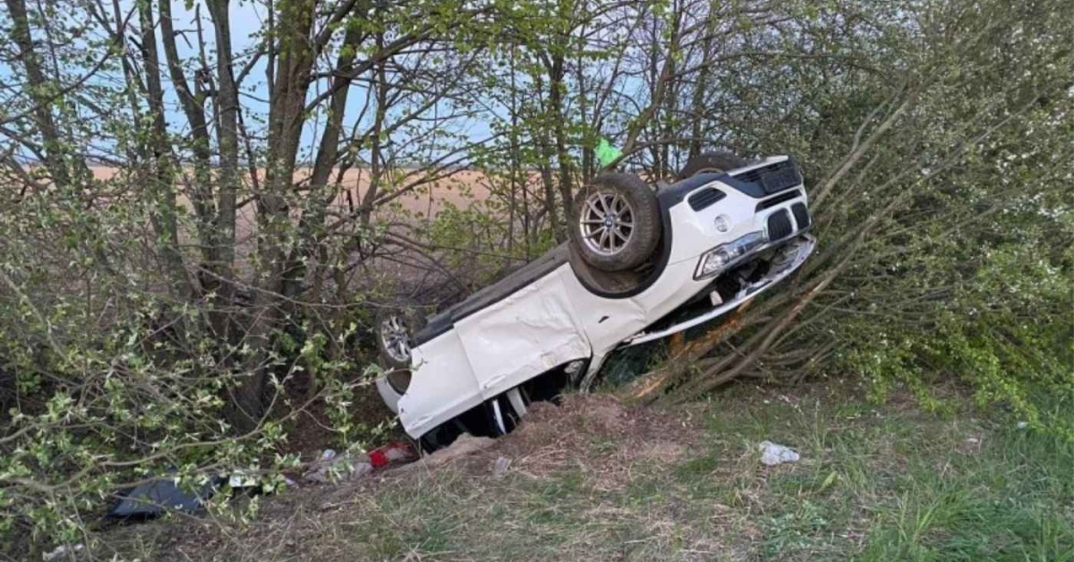 Фото до матеріалу: 15-річний підліток на BMW врізався в дерево у Бірках: четверо друзів у лікарні