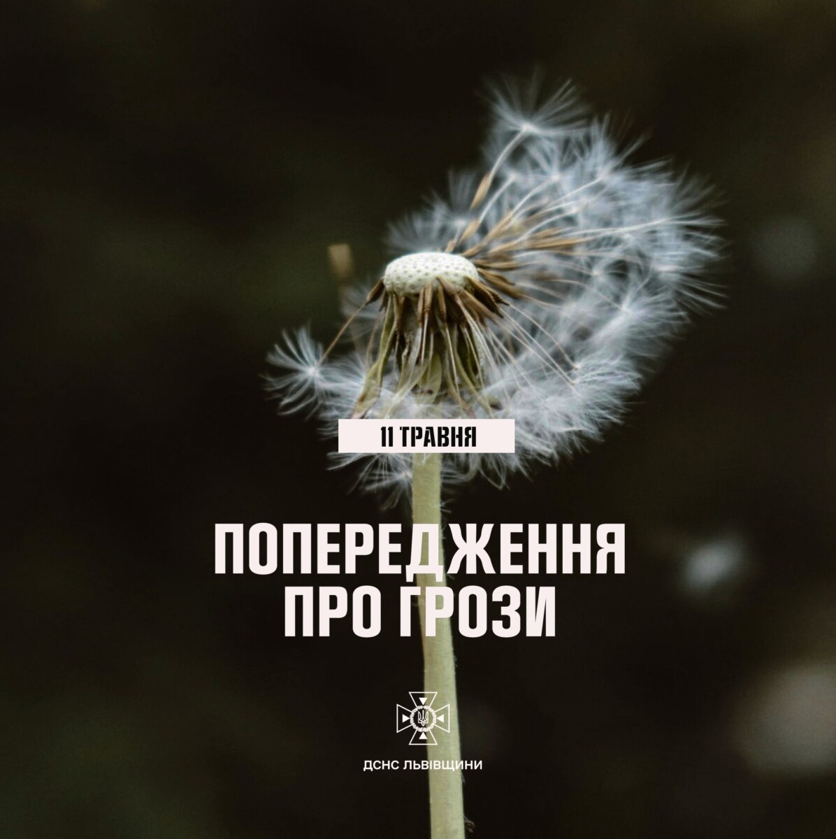 Фото до матеріалу: На Львівщині очікуються грози та шквали вітру
