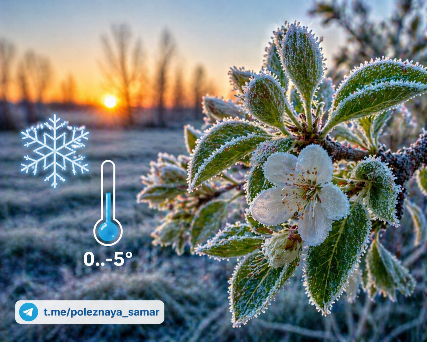Фото до матеріалу: Помаранчевий рівень небезпеки: заморозки до -5°C очікуються в Самарі та області