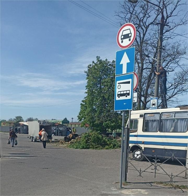 Фото до матеріалу: У Шептицькому сильний вітер повалив дерево біля автостанції