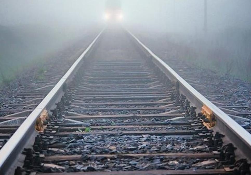 Фото до матеріалу: Олег Безух і потяг часу: історія про поліські ліси