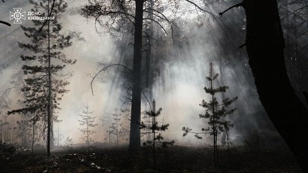 Фото до матеріалу: Пожежа в Чорнобильській зоні: 1100 гектарів горять другу добу, загроза радіації для Києва