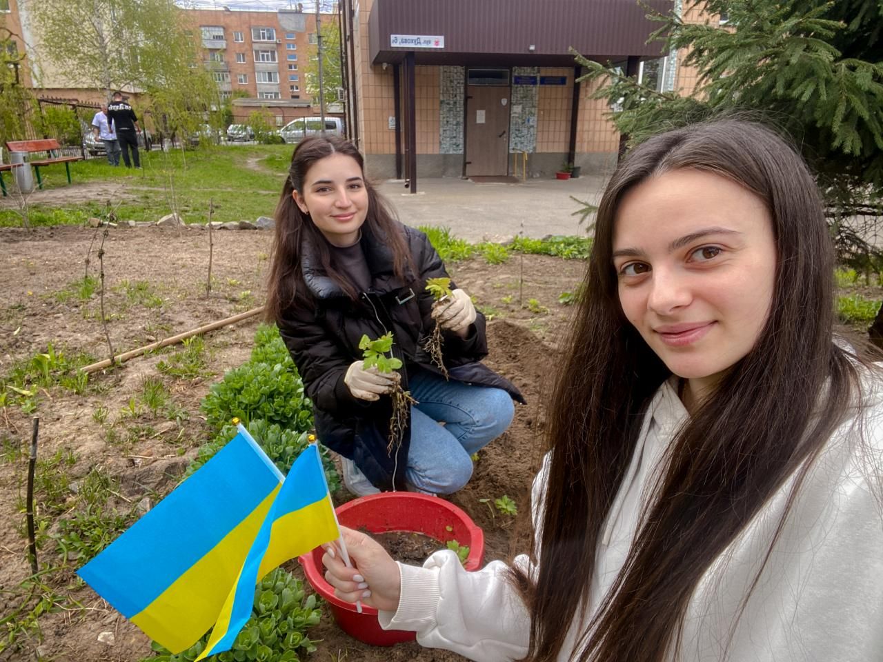 Фото до матеріалу: Волонтери ПДМУ підтримують акцію "1 мільйон дерев пам’яті"