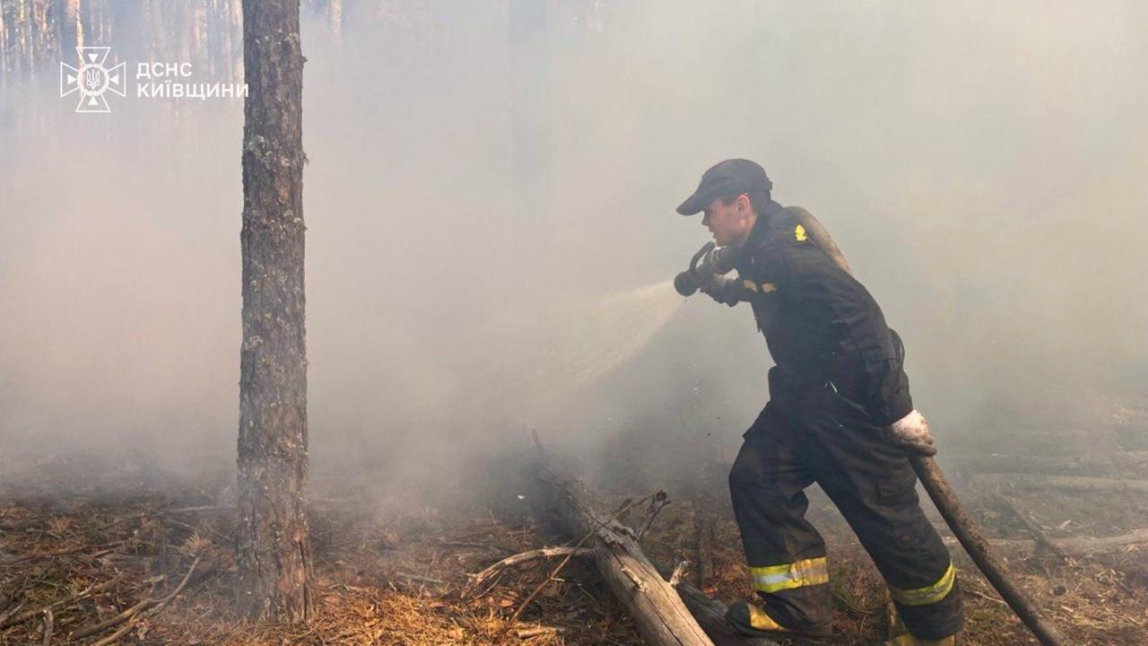 Фото до матеріалу: Ще одне лосеня врятували від пожежі у Чорнобильському заповіднику