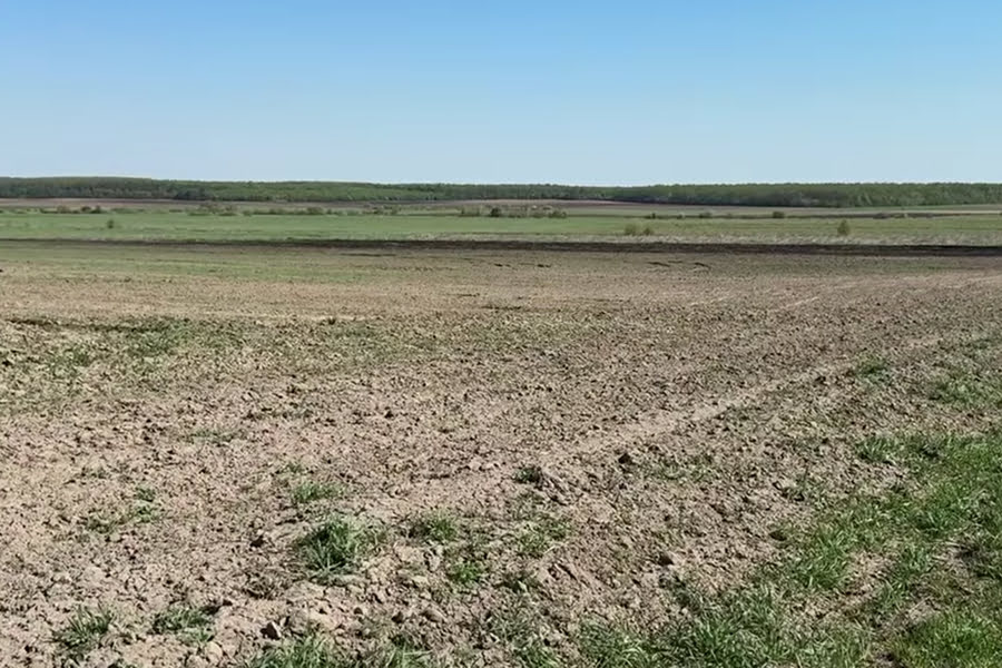 Фото до матеріалу: На Хмельниччині агрохолдинг та селяни не поділили поле