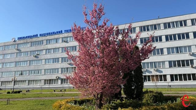 Фото до матеріалу: У Хмельницькому розквітають магнолії та сакури: де краще робити фото