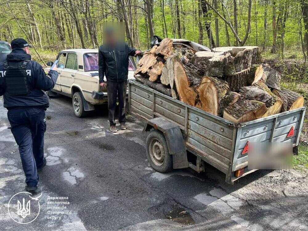 Фото до матеріалу: Екоінспектори на Київщині затримали «Жигулі» з краденою деревиною