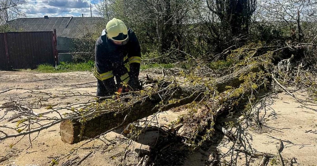 Фото до матеріалу: Рятувальники відновили рух на дорогах Вінниччини після шторму